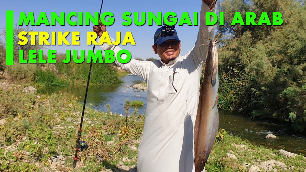 MANCING DI ARAB HASILNYA STRIKE MONSTER LELE JUMBO