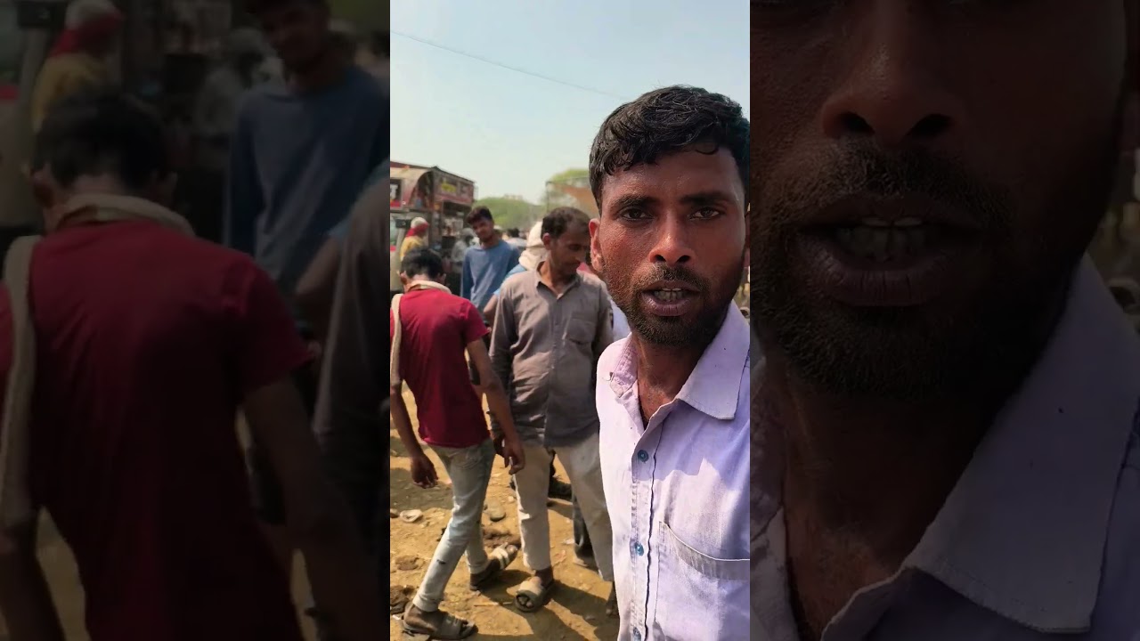 1 लाख 45 हजार मै 14 ली दूध की ताजा ब्याही दूध की दुधारू भैंस खरीदे #short #viral #मंडी