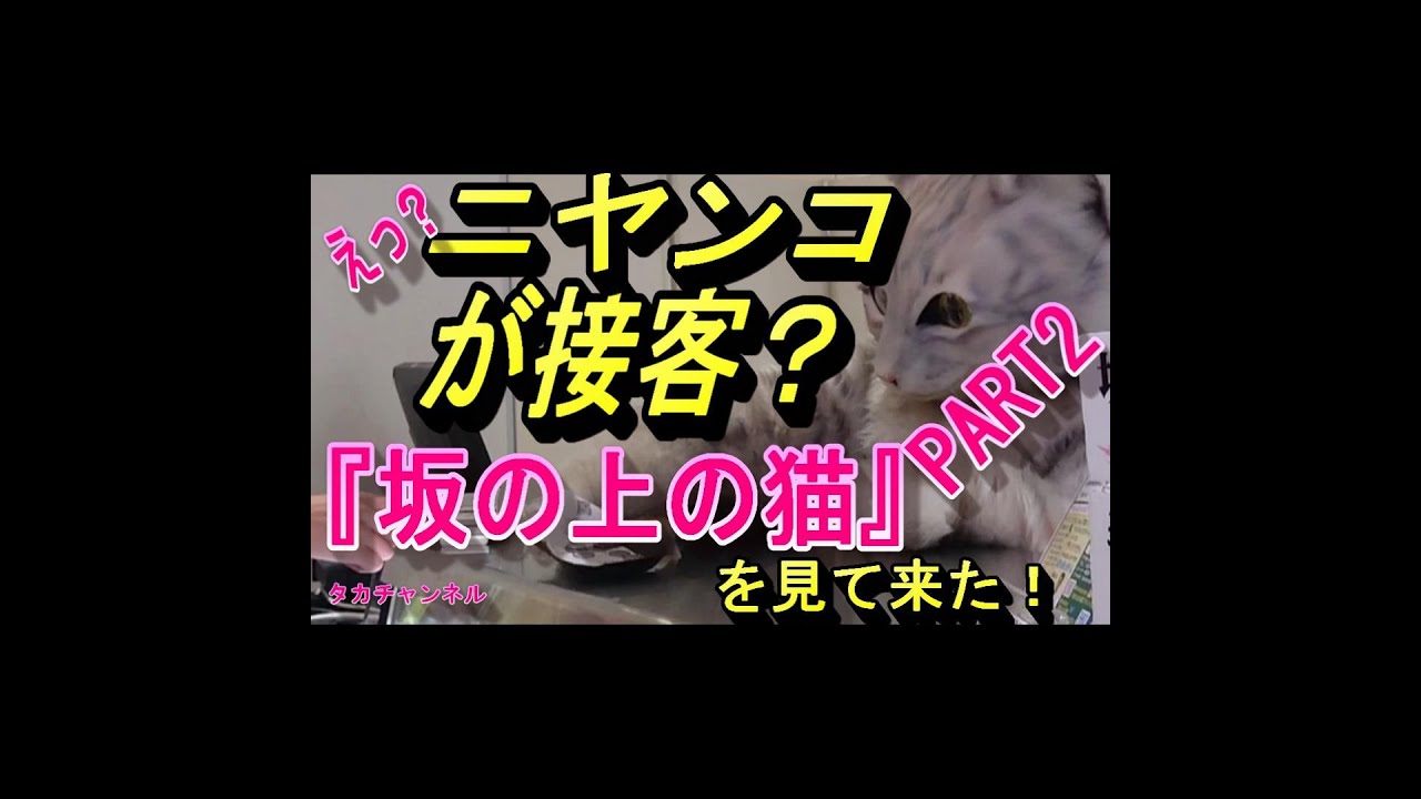 ニャンコが接客？坂の上の猫を観てきた！パート２
