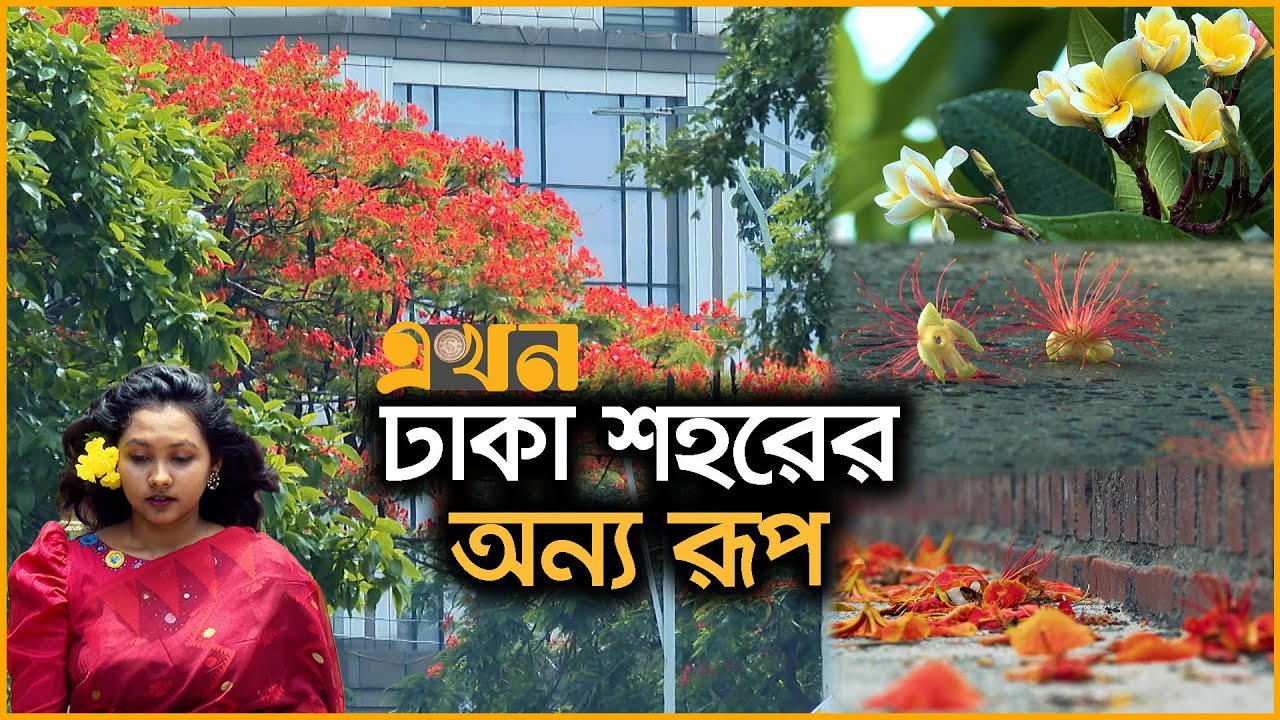 রাজধানী যেনো ফুলের ক্যানভাস | City Flower | Dhaka City | Ekhon TV