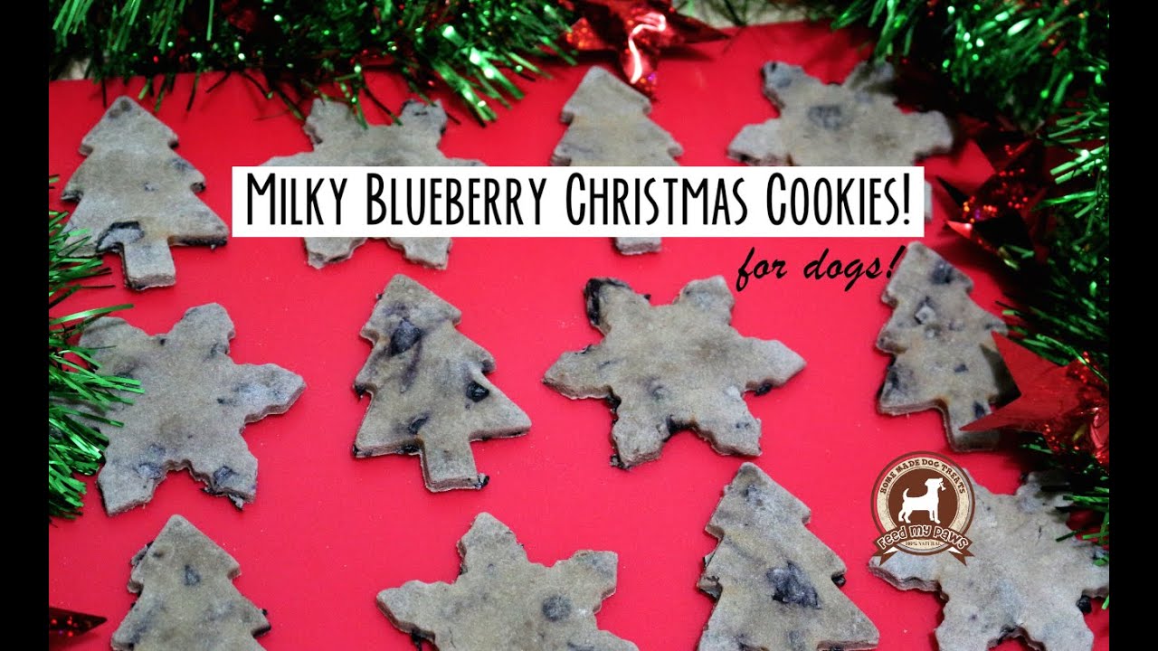 Milky Blueberry Cookie Recipe (for dogs!)