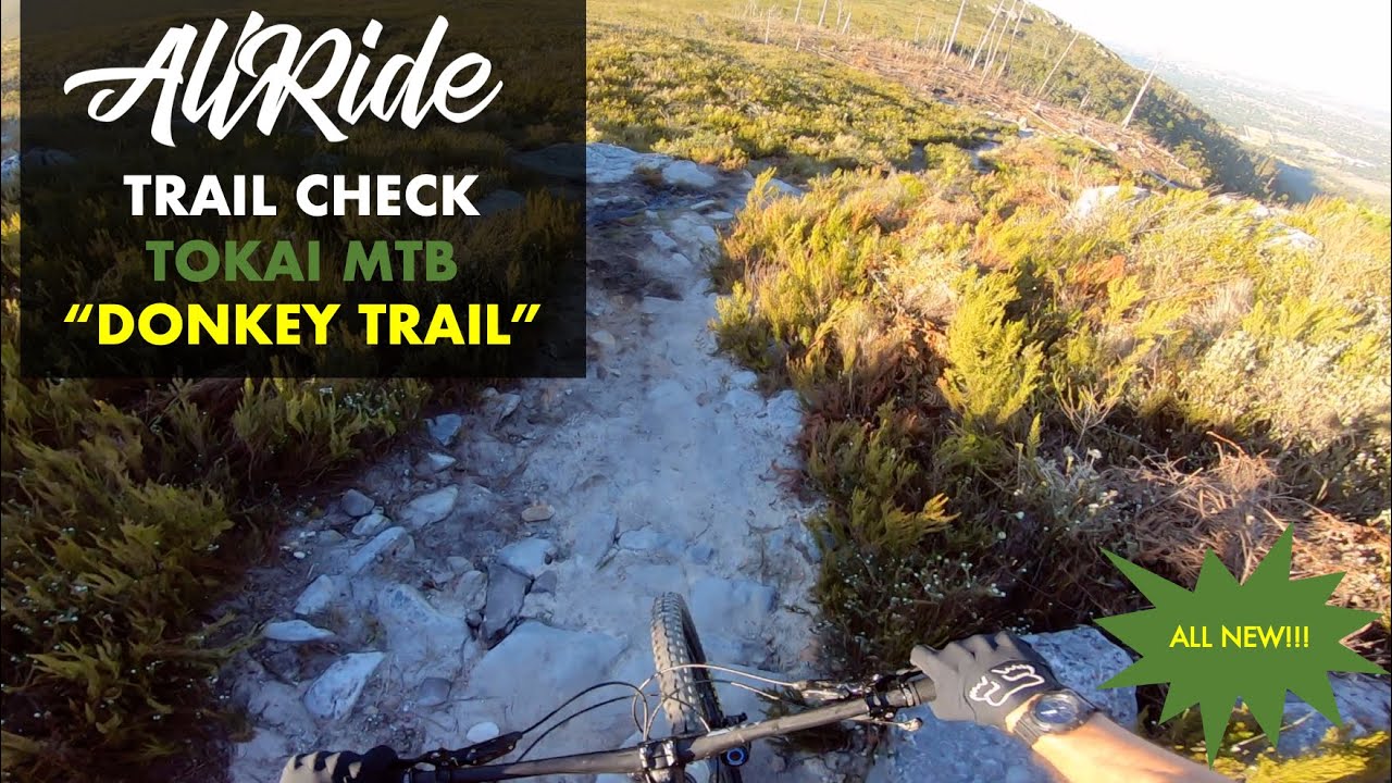 THE ALL NEW DONKEY TRAIL // TOKAI MTB // POV