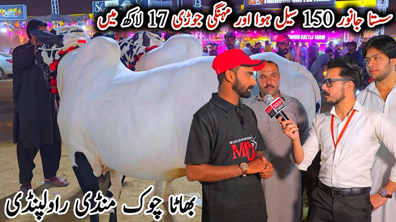 Bhatta Chowk Mandi Update 2 June 2025 | Naseeb K Sody Qurbani Bakra Eid