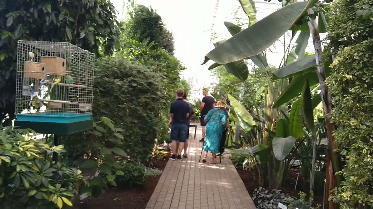 Латвия. Саласпилс. Лето и к нам заглянуло!