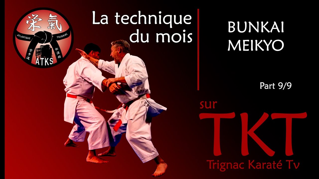 LA TECHNIQUE DU MOIS / BUNKAI MEIKYO - Partie 9/9