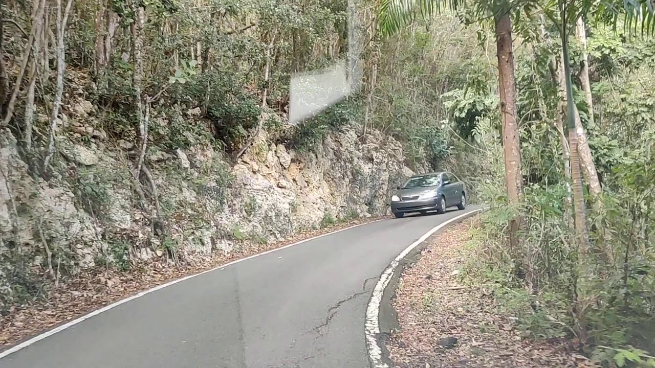 Bosque del Guajataca Primer video. 14 de febrero de 2021