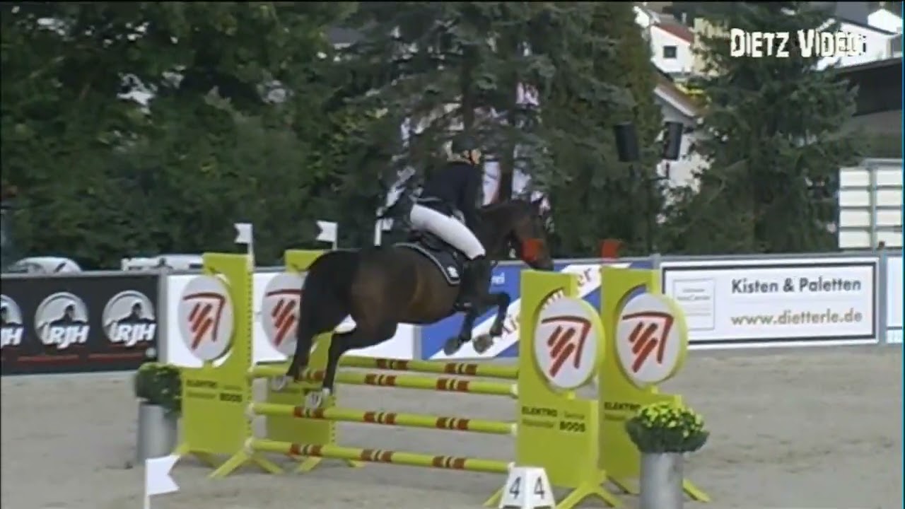 FIENE BOSSEN Susanne Irion