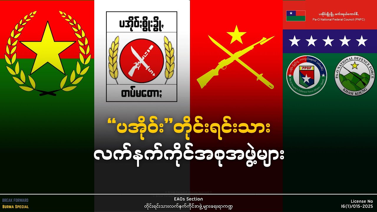 ပအိုဝ်းလက်နက်ကိုင်အစုအဖွဲ့များ