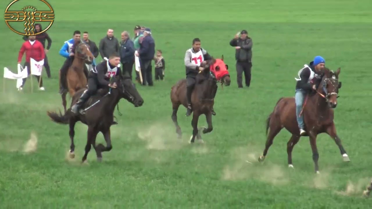 ПРАЗНИК НА КОНЯ И КОННИЯ СПОРТ В ТЕНЕВО