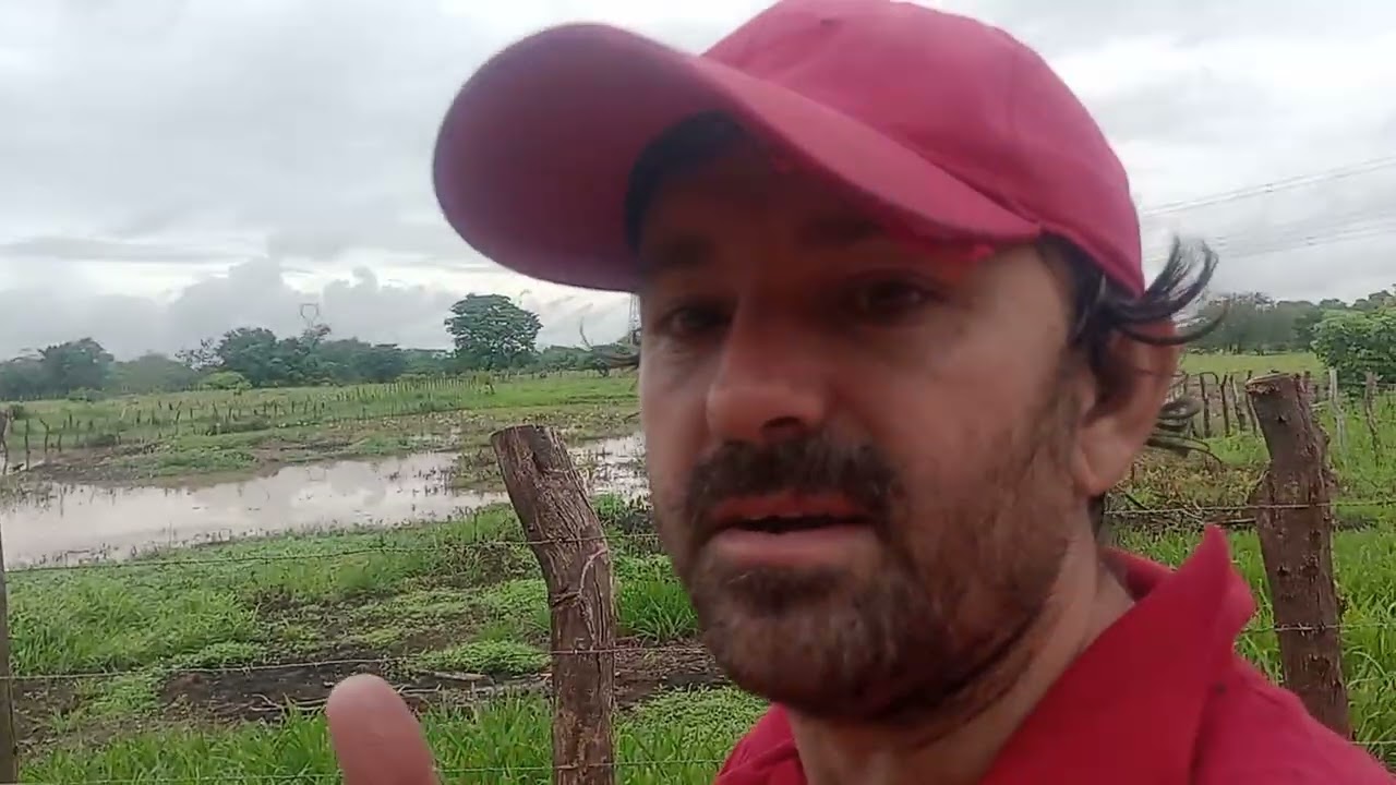 gente que aves são essas?
