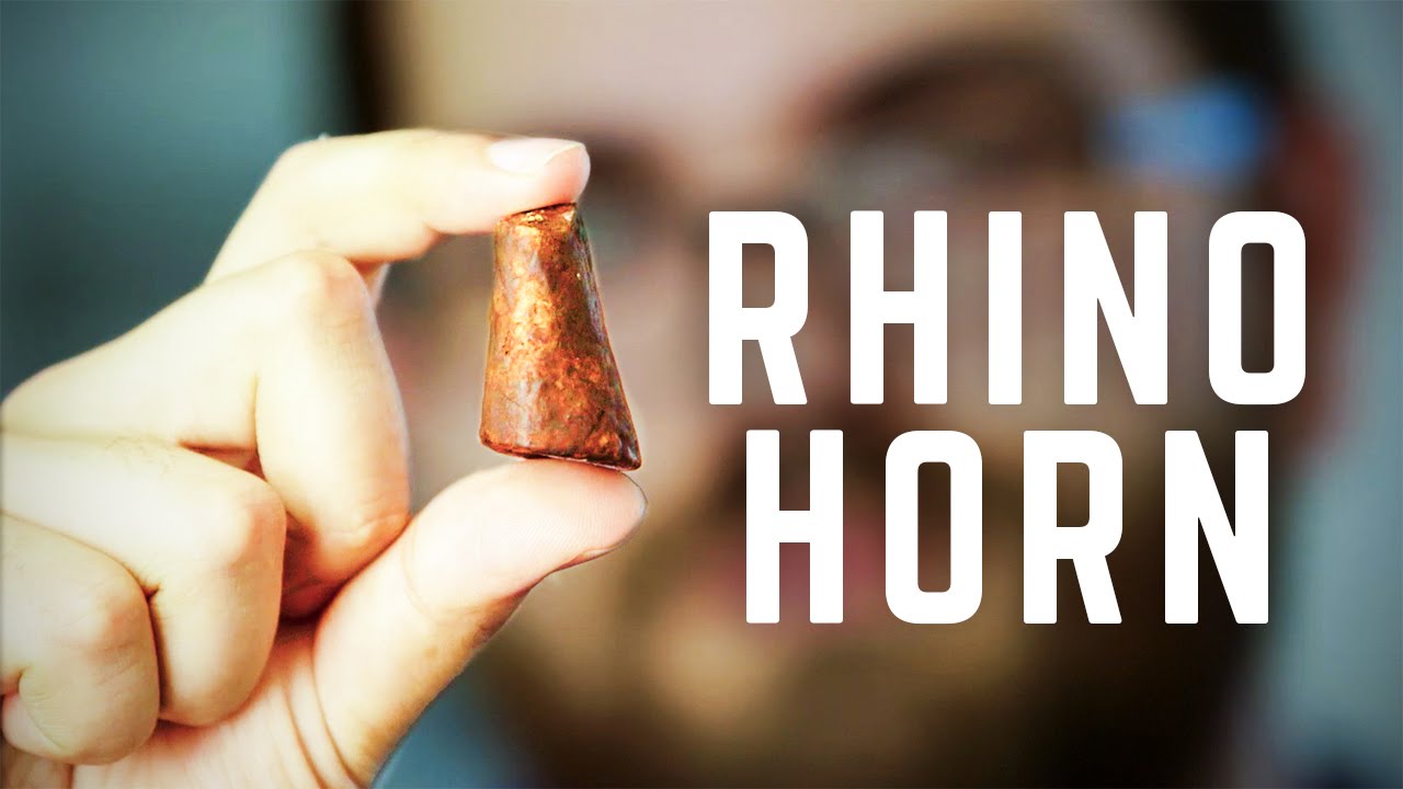 3D Printing Rhino Horns Can Stop Poaching in Africa