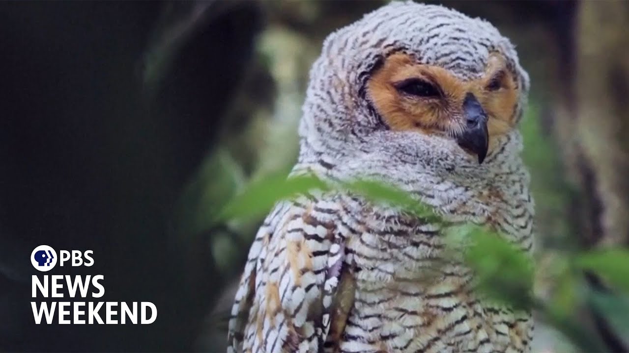 A look at some of 2025&rsquo;s new additions to UNESCO World Heritage List