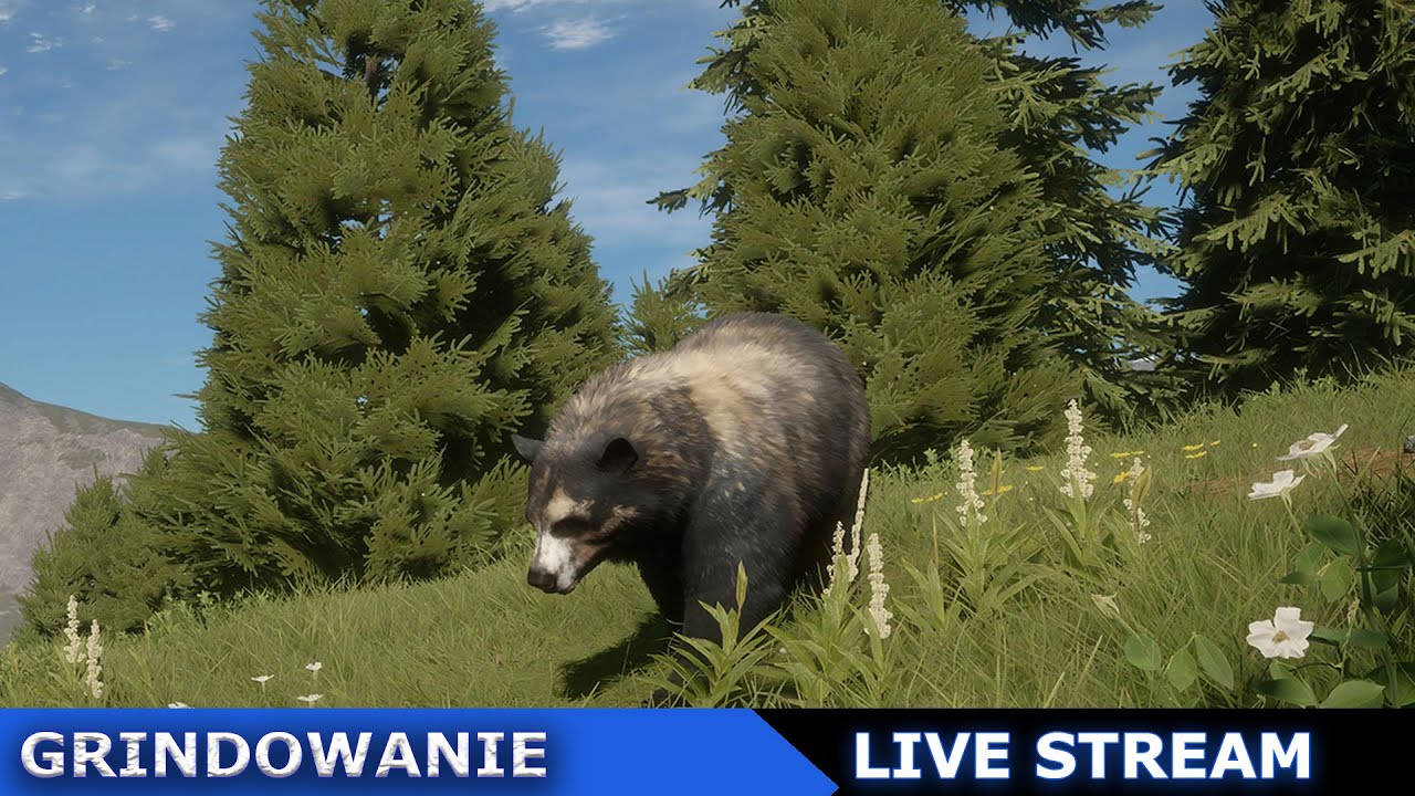 Puchate kulki, wezwijcie mi Wielki Okaz | theHunter: Call of the Wild [Live stream]