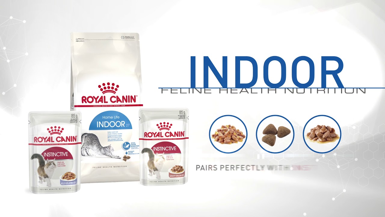 Royal Canin Indoor