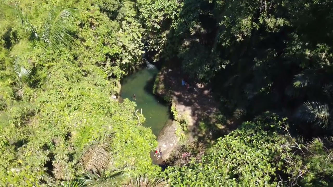 Viewing ilog ng indang at mga puno #dronevideo #djimini4k 