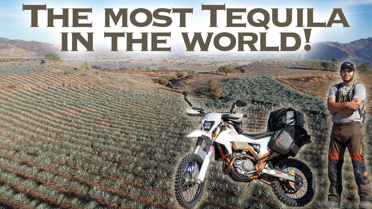 I Drove Through the Agave fields of Tequila Jalisco! (Ep 17)