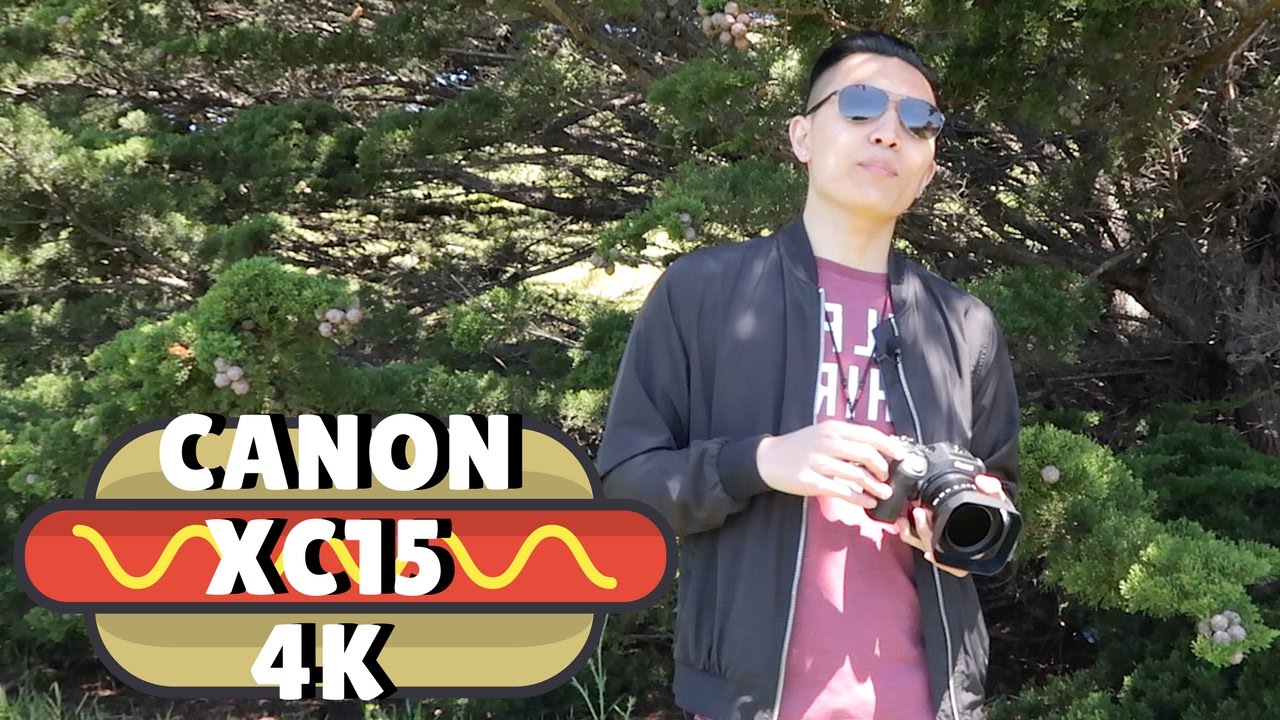 Canon XC15 4K - Is it a Mini C100?