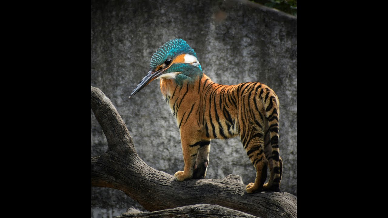 Blending two animals together in Photoshop 2025