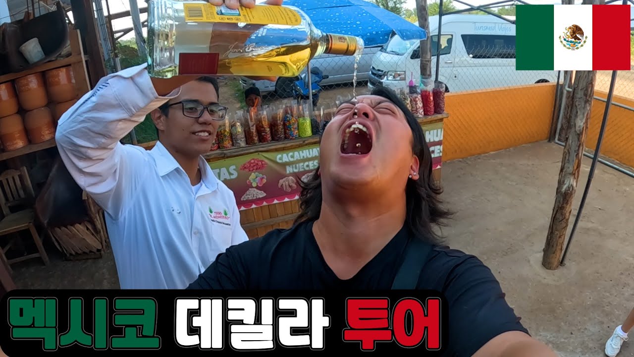 데킬라 투어, 멕시코 과달라하라 데킬라 ep.9-1 🇲🇽 Mexico Guadalajara Tequila