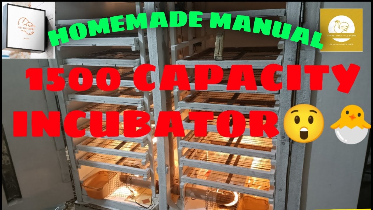GUMAWA KAMI NG MALAKING INCUBATOR  /PERFECT ANG PERFORMANCE #incubator # reyhatchery