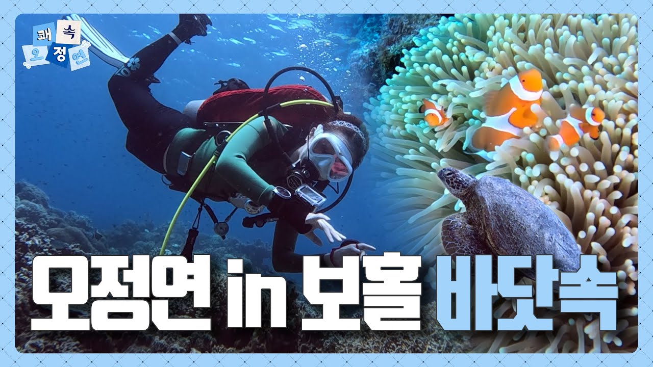 황홀한 보홀 스쿠버다이빙🤿 #1 | 반짝반짝 바닷속 광경 구경해보아요💕