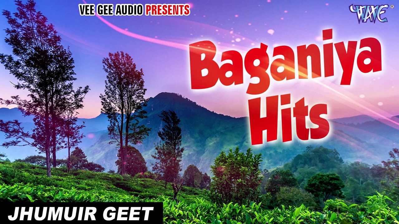 #Baganiya_Hits | #Zubeen Garg New Chaybaganiya Gaan | Best Of Baganiya | Zubeen Hero Album All Song