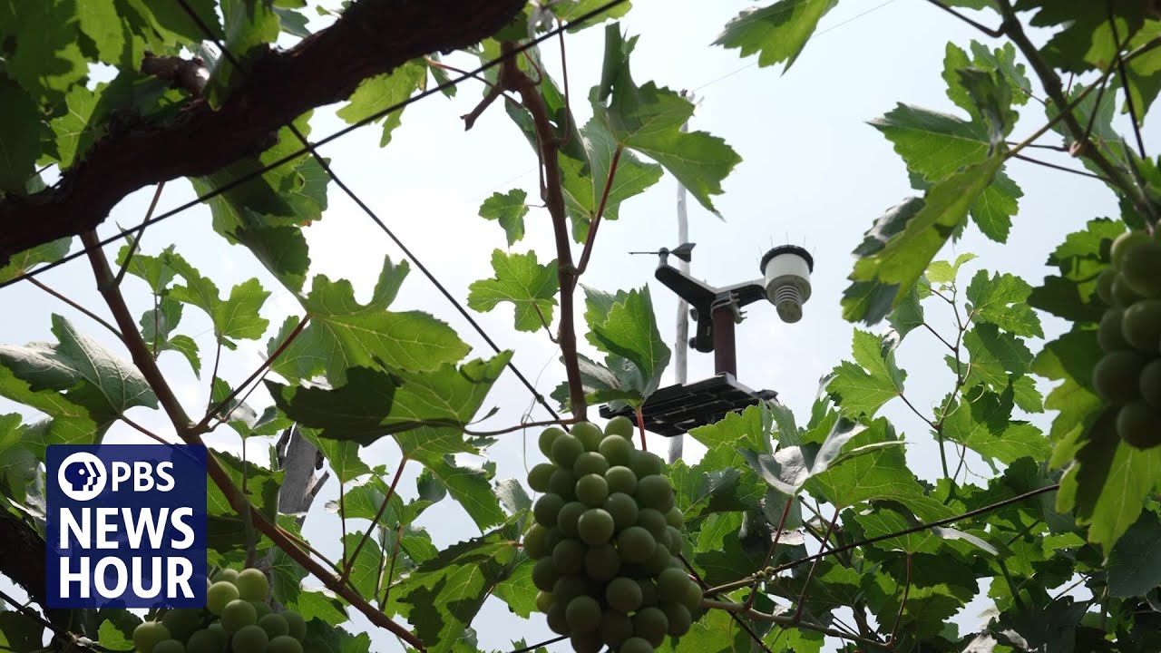 Can AI help solve India&rsquo;s food and water insecurity?