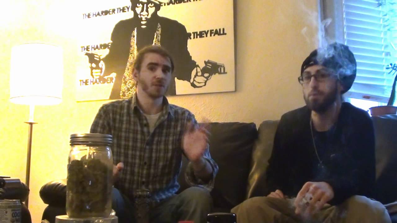 CCTV#9: Solvent-less Hash, Edibles & Reggae with DJ Nikka T: Part1