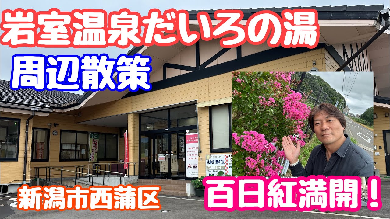 2024年8月6日 岩室温泉だいろの湯 周辺散策 百日紅満開 新潟市西蒲区
