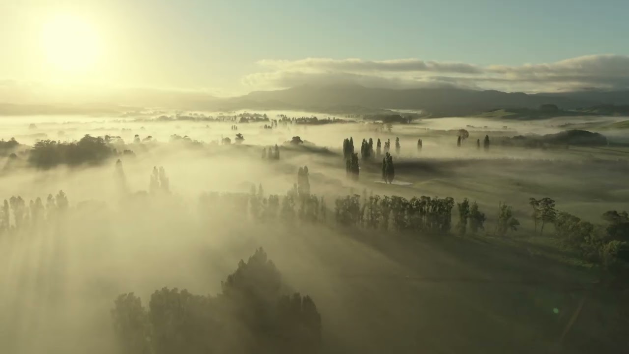 A Foggy Morning FFN