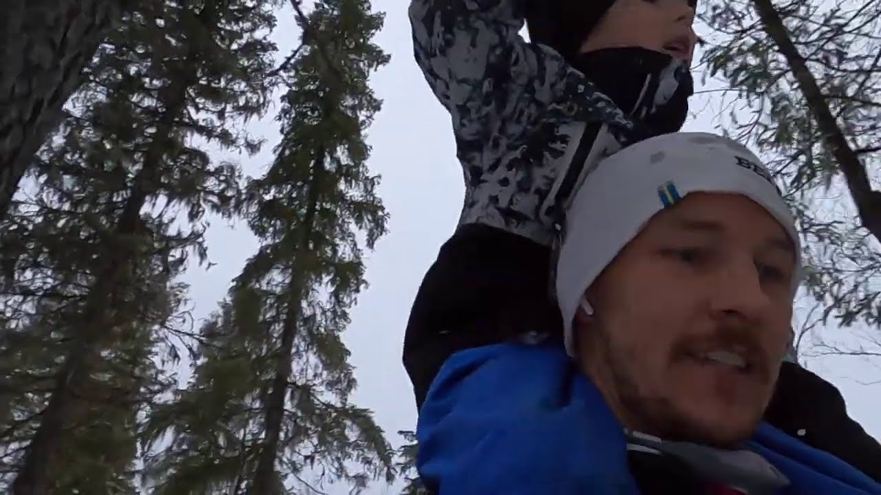 Dags att vittja fällorna! Mårdfångst 2!