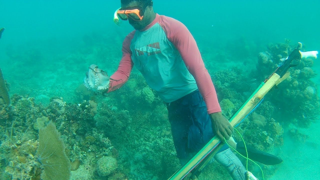 How to Hunt Octopus: The Techniques For A Successful Catch