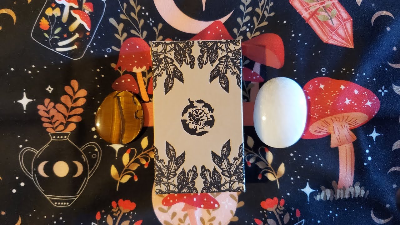 The Oak, Ash & Thorn Tarot Review!