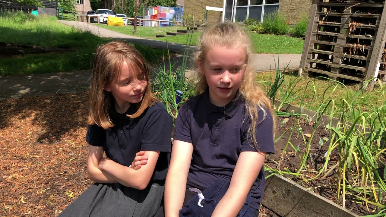 Coppice Valley Primary School - Community Garden