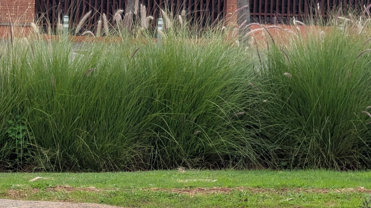 السلام عليكم ورحمة الله وبركاته... مساء الخير