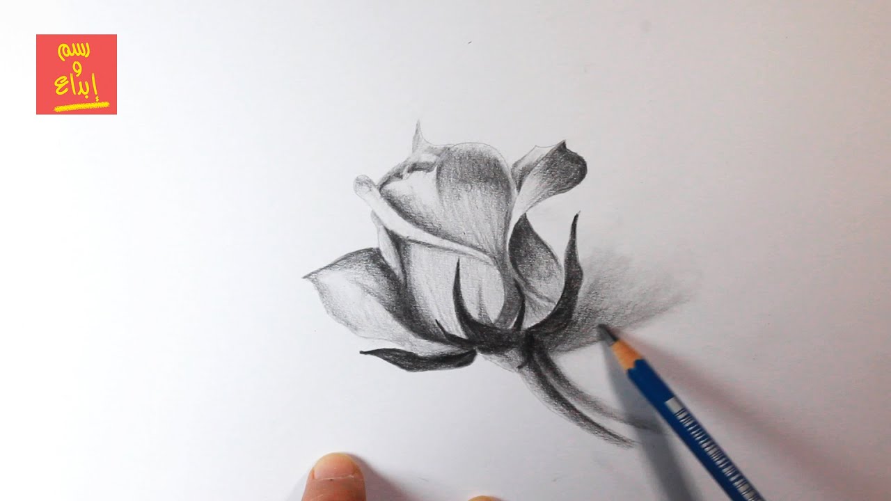 How to  draw a flower step by step / learn to draw