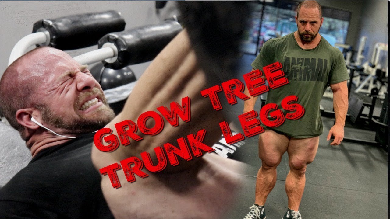 Leg Workout | Hams and Glutes