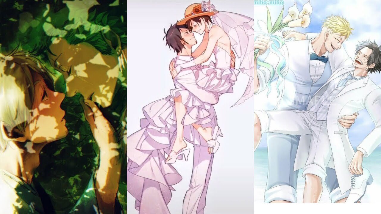 Tik Tok One Piece Đam Mỹ#otp #bachhop #onepiece |~P3|🍖𝕥𝕙𝕪𝕟🐯