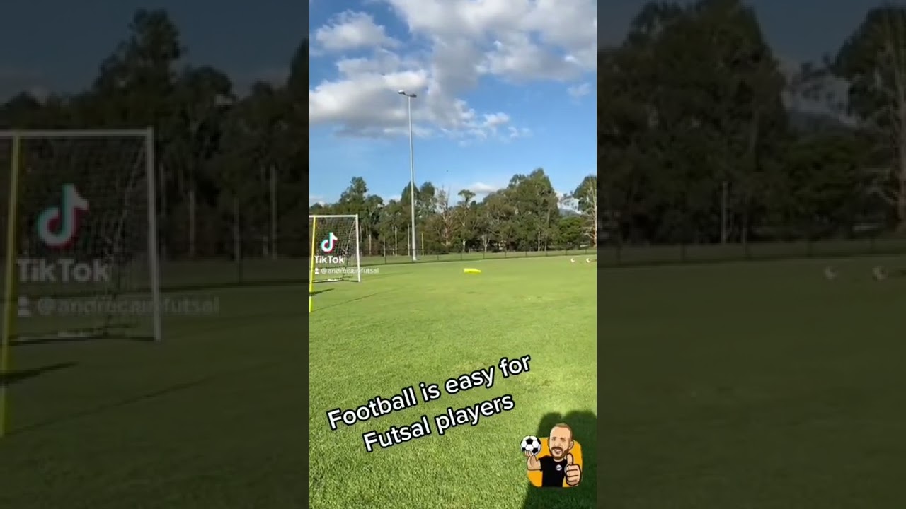 FACT - FOOTBALL IS EASY FOR FUTSAL PLAYERS