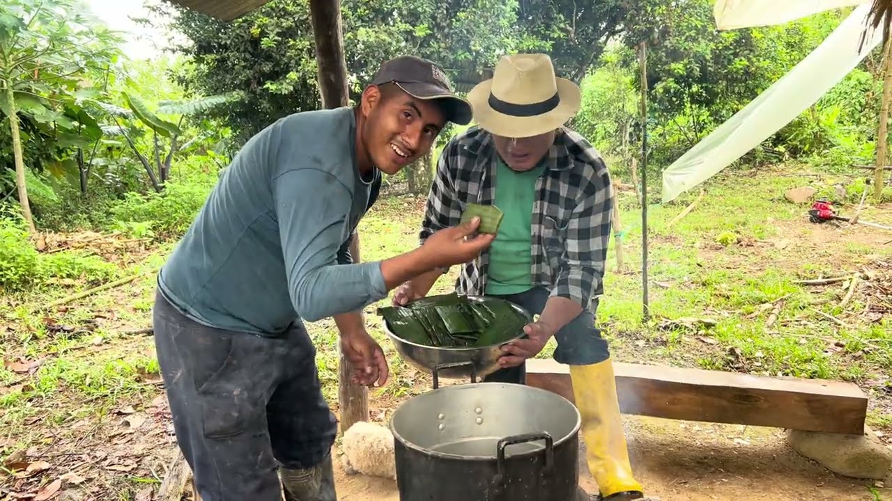 Con este racimo de platano vamos a preparar tamales al estilo casero | Don Valentin