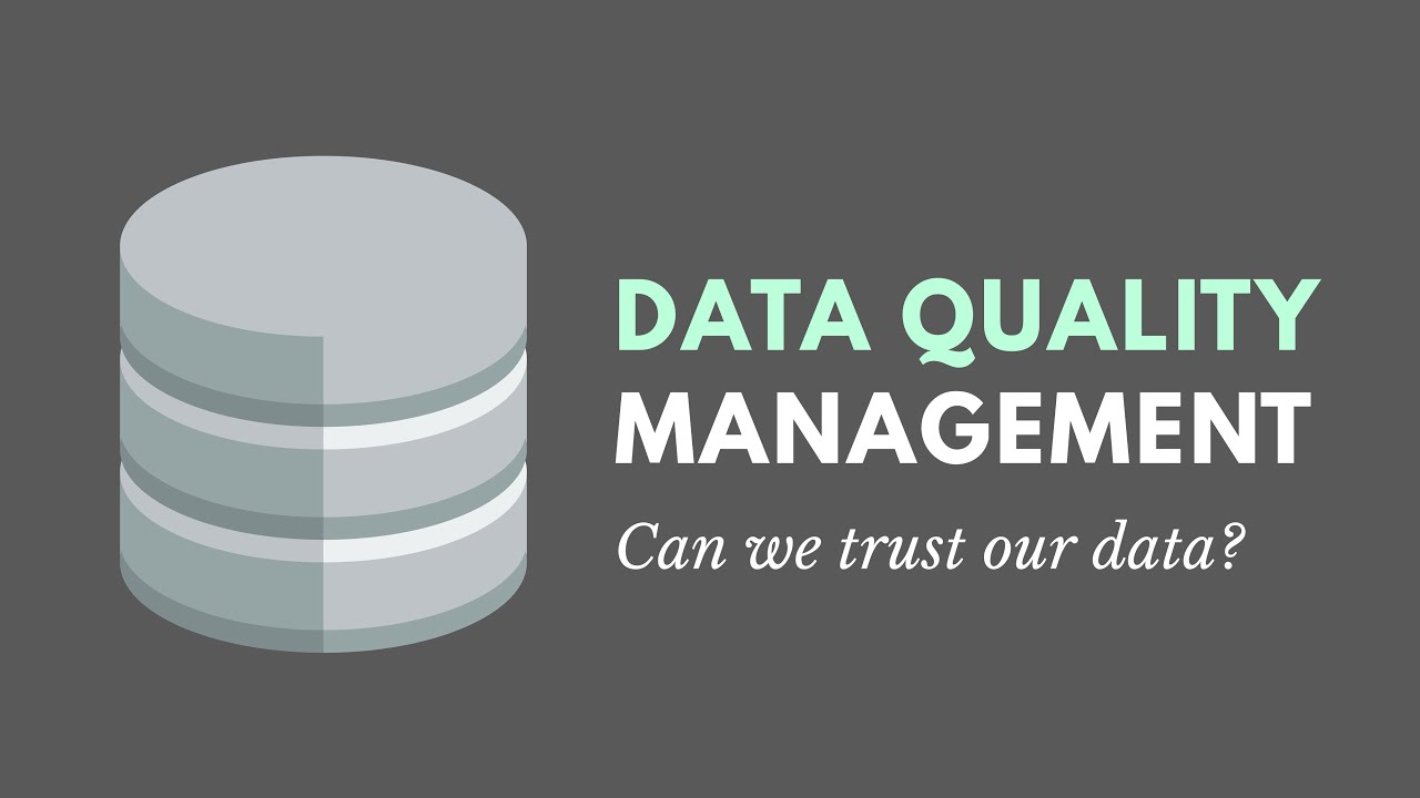 Introduction to Data Quality Management