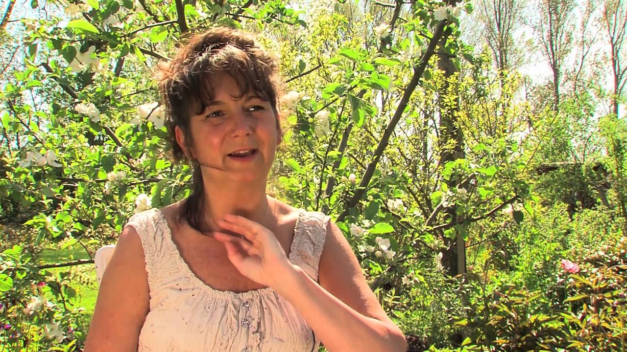 Gr&uuml;ne Erholung - Magazinbeitrag - Mein gr&uuml;nes Reich - Elfenhof