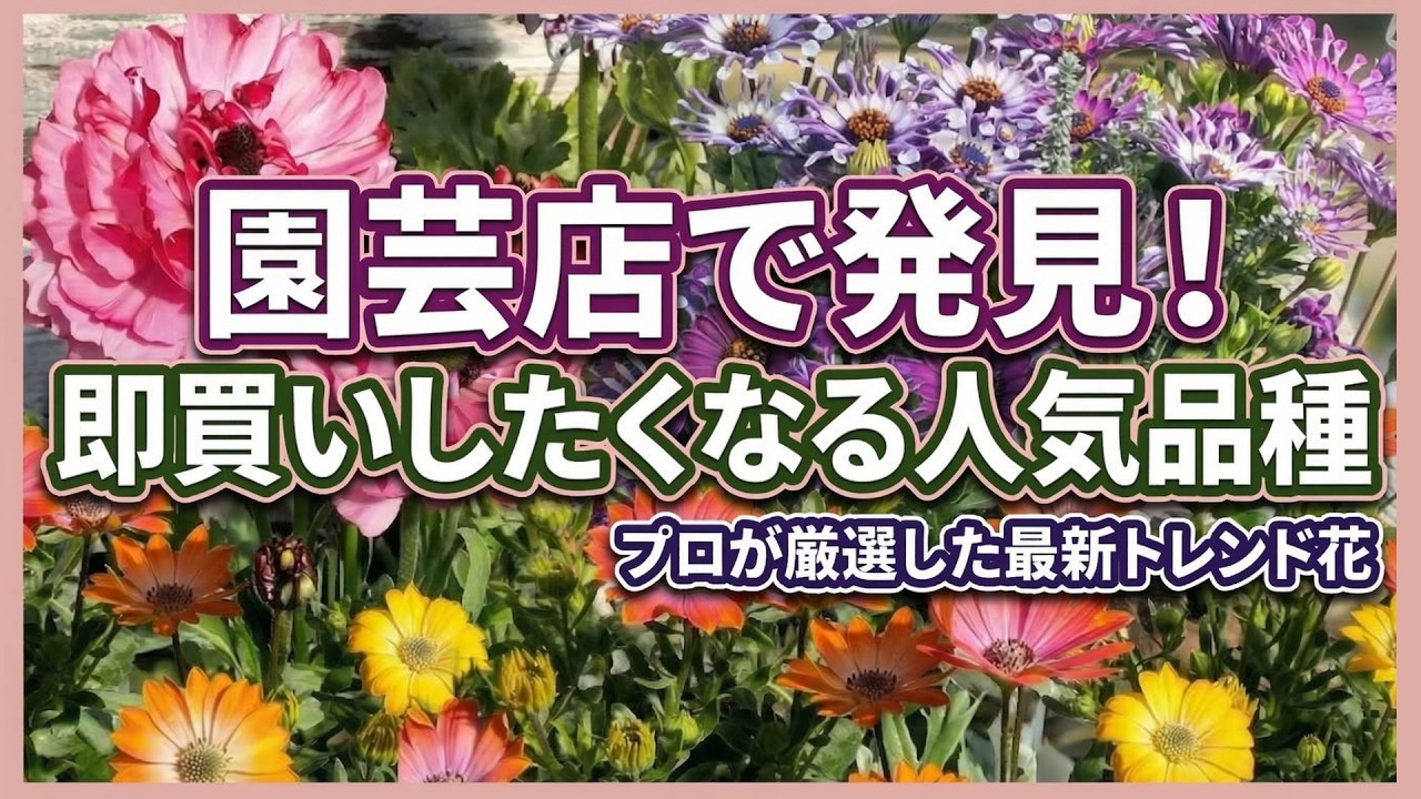 【ガーデニング】3月の園芸店で見た！園芸のプロも推す最新トレンドの花！即買いしたくなる注目の大人気品種を最新情報で紹介！驚きの新品種！お買い得情報！フラワーガーデン泉・群馬県・gardening