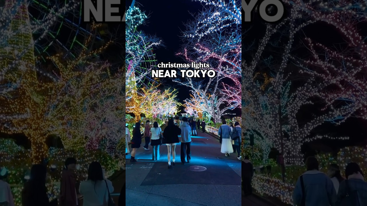 Japan&rsquo;s winter illuminations are the best! 🤩 #japantravel #tokyo #christmaslights #winterwonderland