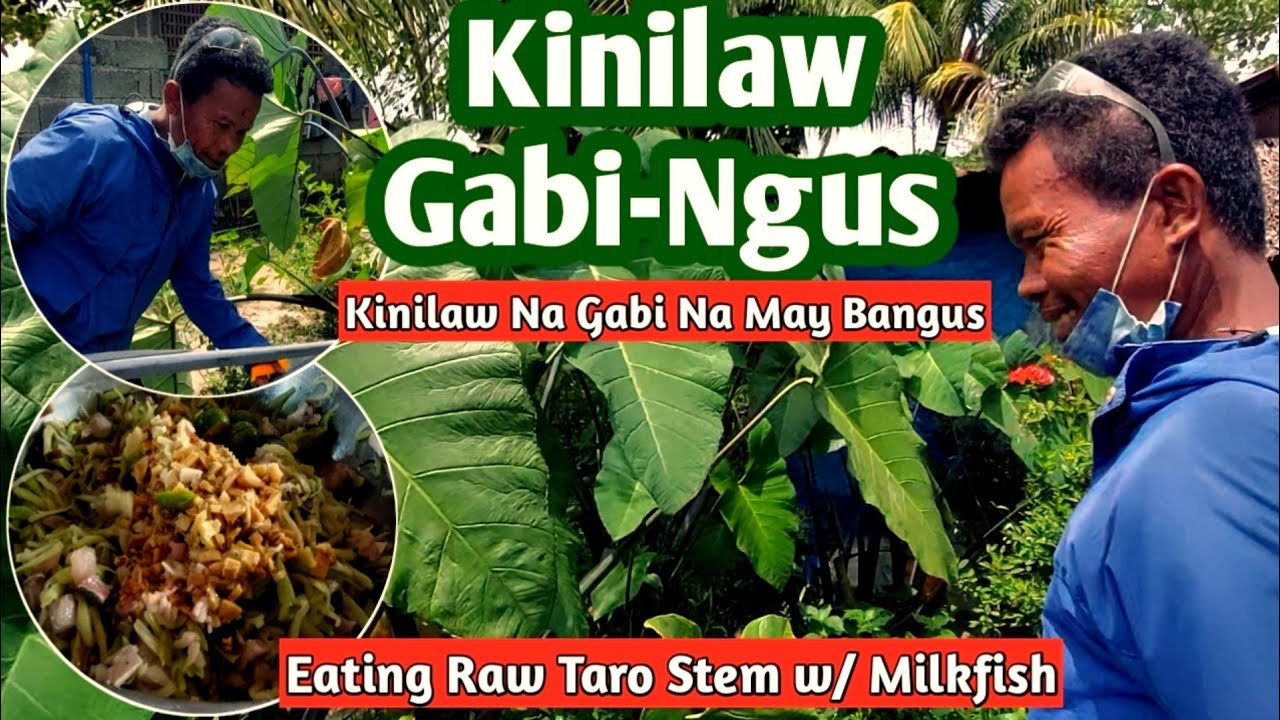 Kinilaw Na Gabi Na May Bangus | Eating Raw Taro Stem With Milkfish | Province Life