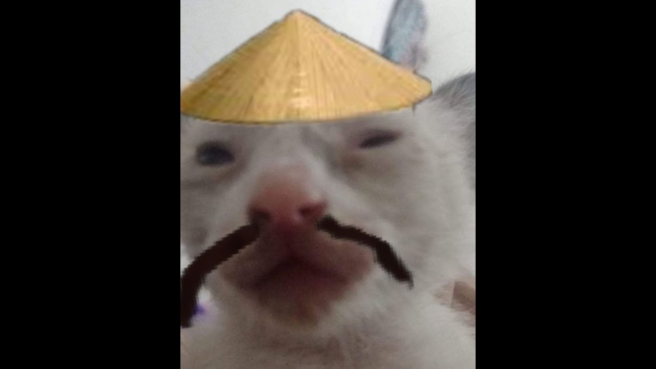 hello its been awhile (Chillin n Animate stream)