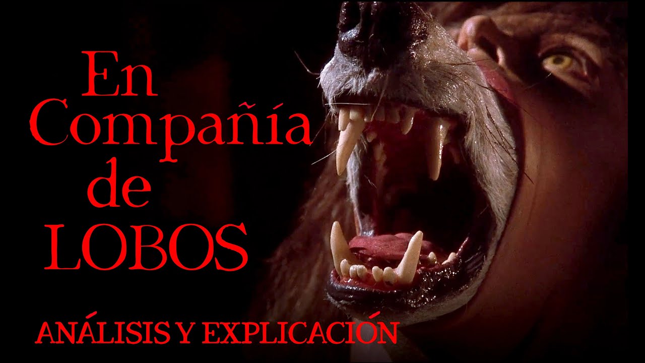 EN COMPA&Ntilde;&Iacute;A DE LOBOS (1984), AN&Aacute;LISIS Y EXPLICACI&Oacute;N | CR&Oacute;NICAS CIN&Eacute;FILAS