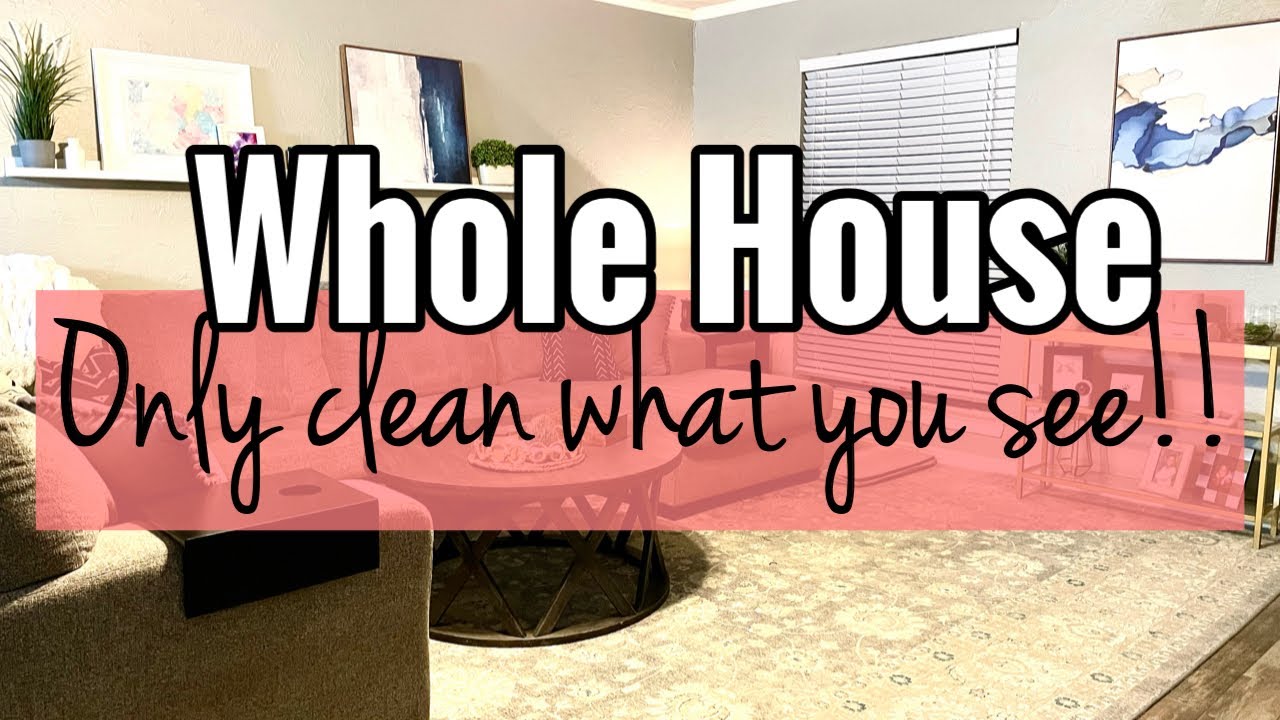WHOLE HOUSE | CHATTY CLEAN WITH ME | NEVER NOT CLEANING