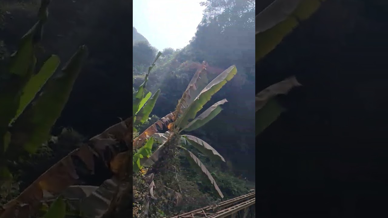 পাহাড়ের অসাধারণ সুন্দর পথ ধরে ছুটে চলা,,,,