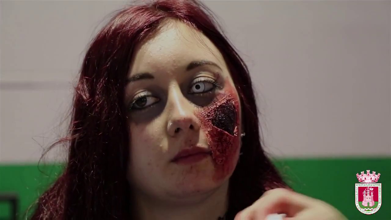 Survival Zombie Cantillana 28_01_2017